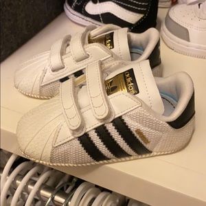 Baby adidas superstar